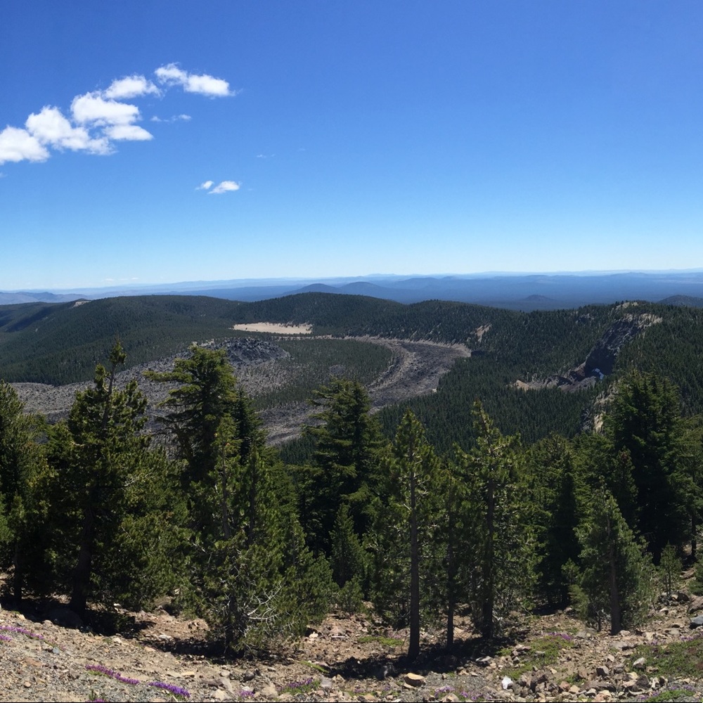 Meet your Posher, Karlie